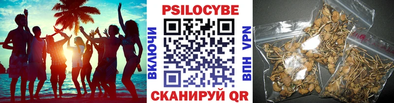 Галлюциногенные грибы мицелий Белебей